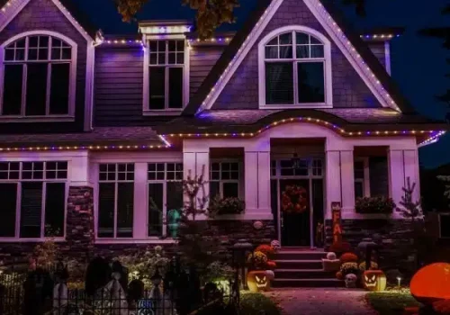 DSC08590-Large-600x600