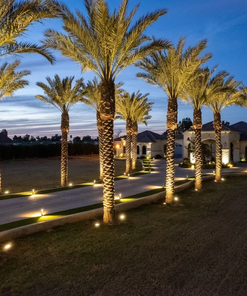 Outdoor Lighting in Florida | Mr and Mrs Outdoor Living