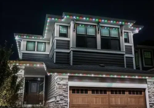 IMG_2869-Large-600x600