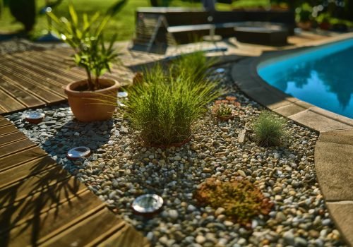 A close shot of plants near a pool with a blurred background