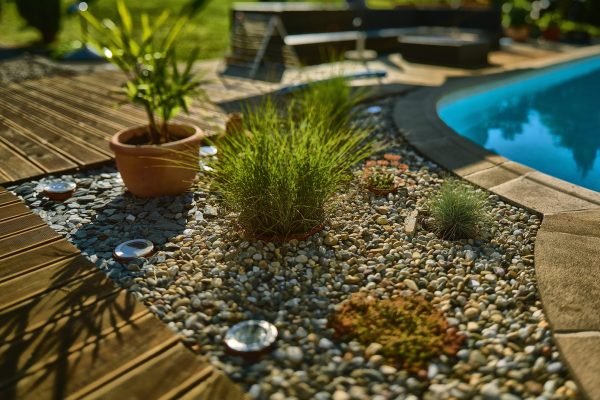 A close shot of plants near a pool with a blurred background